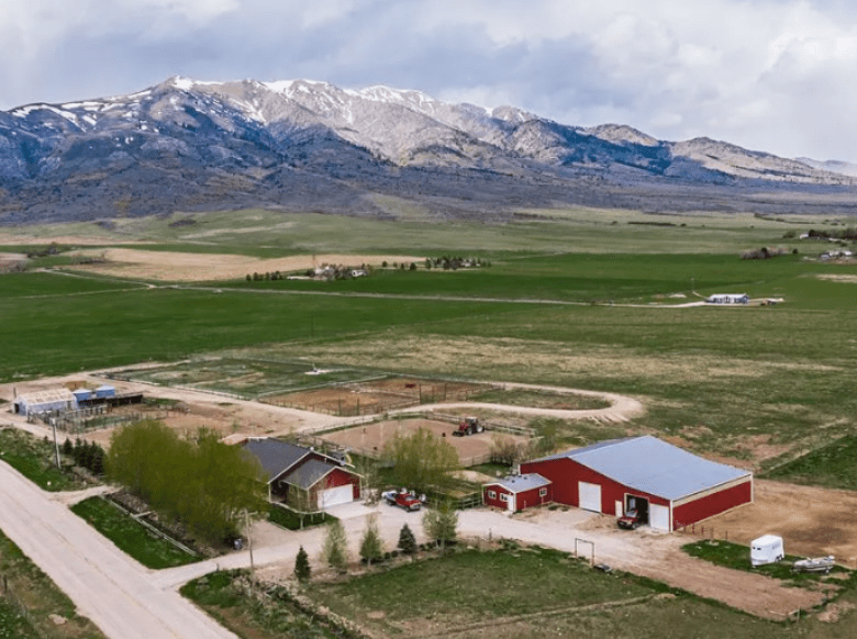 How Much 28.8 Acres of Land Cost