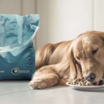 pet-food-packaging